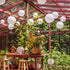 Avoseta Paper Lanterns - 20 Piece Set - Party Decorations in Sizes of 6", 8", 10", 12" (5 of Each, White)