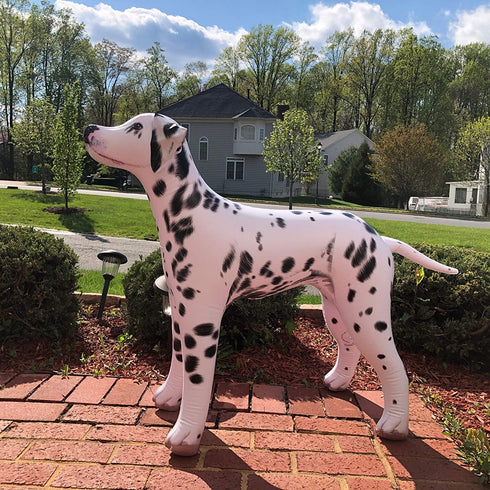 Jet Creations Inflatable Dalmatian Dog 39" Long Stuffed Animals Party Supplies An-DALM, Multicolor