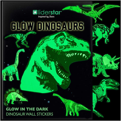 Dinosaur Wall Decals for Kids Room Glow in The Dark Stickers, Large Removable Vinyl Decor for Bedroom, Living Room, Classroom - Wall Cool Light Art Gift for Girls Boys Toddlers (Dino)