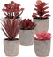5 Small Fake Plants for Living Room Decor Realistic Mini Artificial Plants & Flowers, Potted Fake Plants Bedroom Aesthetic Bathroom Shelf or Indoor Home Office Desk Faux Succulent Plants Pot Bulk