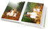 4 x 6 Photo Albums Pack of 2, Each Mini Photo Album Holds Up to 60 4x6 Photos. Flexible, Removable Covers Come in Random, Assorted Patterns and Colors.