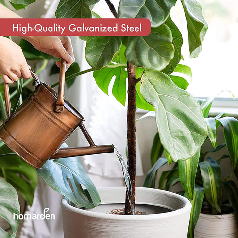 Homarden 81 oz. Copper Watering Can - Metal Watering Can with Removable Spout, Perfect Galvanized Watering Can for Indoor and Outdoor Plants (House Plants) - Flower Watering Can Gift & Decoration