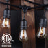 Lemontec Commercial Grade Outdoor String Lights with 15 Hanging Sockets - 48 Ft Black Weatherproof Cord Weatherproof Strand for Patio Garden Porch Backyard Party Deck Yard S14 Black