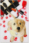 Empire Art Direct Oh Again Frameless Free Floating Tempered Glass Dog Wall Art Ready to Hang, 16 in x 24 in x 0.2