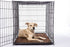 Dog Gone Smart Dirty Dog Doormat Cute Paw Print Ultra Water Absorbent Fast Drying Microfiber Small, Medium, Large and Runner Heavy Non-Skid/Slip Backing Machine Wash, Rain Snow Muddy Wet Shoes & Paws
