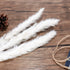 ManYmbyan 40Pcs Pampas Grass,18in Dried Pampas Grass Decor for Home Kitchen Wedding Flower Arrangement and Vase Fillings(White)