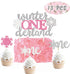 Glitter Winter Onederland Birthday Cake Topper( set of 1 ) and Snowflakes One Winter Wonderland Cupcake Toppers ( set of 12 ) Winter First Birthday Party Decorations Baby Girls 1st Birthday