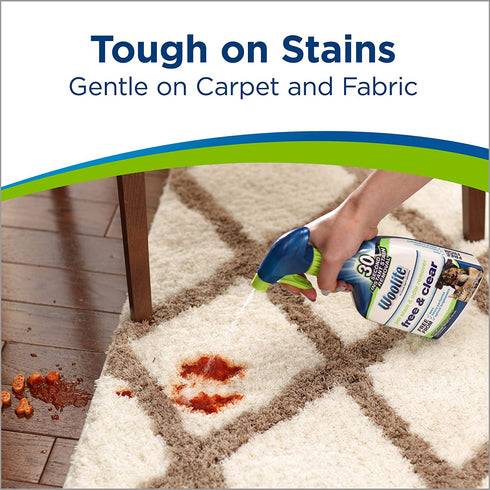 Woolite Free & Clear, Pet Stain & Odor Remover, 22oz (Pack of 2), 2719
