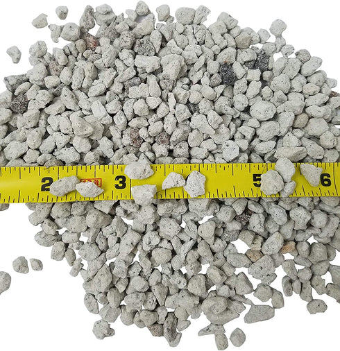 Bonsai, Cactus & Succulent Pumice - Professional Sifted and Ready to Use American ¦ (2.5 Dry Quart)
