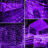 Joomer Purple Christmas Net Lights,12ft x 5ft 360 LED 8 Modes Adapter Bush Lights Connectable Mesh Netting Lights for Christmas Trees, Bushes, Wedding, Garden, Outdoor Decorations,Green Wire