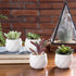 MyGift Miniature Artificial Succulents, Indoor Fake House Plants in Round White Geometric Ceramic Pots, Set of 4