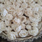Mini Sola Wood Flower Assortment - 50 in a Set
