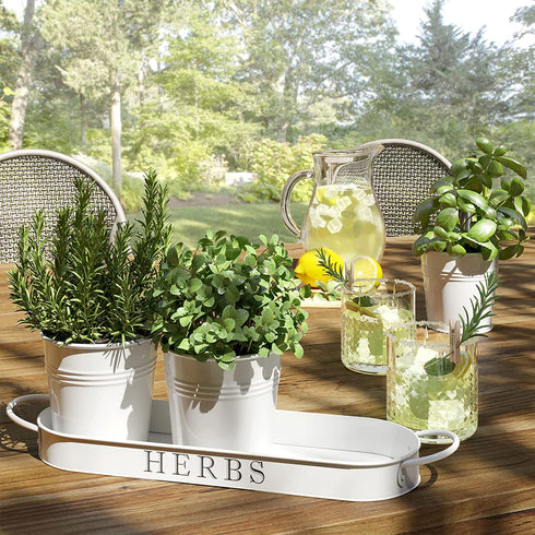 Barnyard Designs Herb Pot Planter Set with Tray for Indoor Garden or Outdoor Use, White Metal Succulent Potted Planters for Kitchen Windowsill, (Set of 3, 4.25? x 4? Planters on 12.5? x 4" Tray)