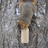 C&S CS611 Nut'n Sweet Corn Refill Squirrelog Backyard Feeder, None