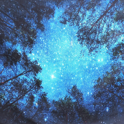 Forest Starry Tapestry Wall Hanging 3D Printing Forest Tapestry Galaxy Tapestry Forest Milky Way Tapestry Tree Tapestry Night Sky Tapestry Wall Tapestry for Dorm Living Room Bedroom (L, 4#forest star)