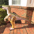 Jet Creations Inflatable Dinosaur
