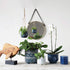 Creative Co-Op Debossed Decorative Stoneware Lid & Pattern, Distressed Crackle Glaze, Blue Jar