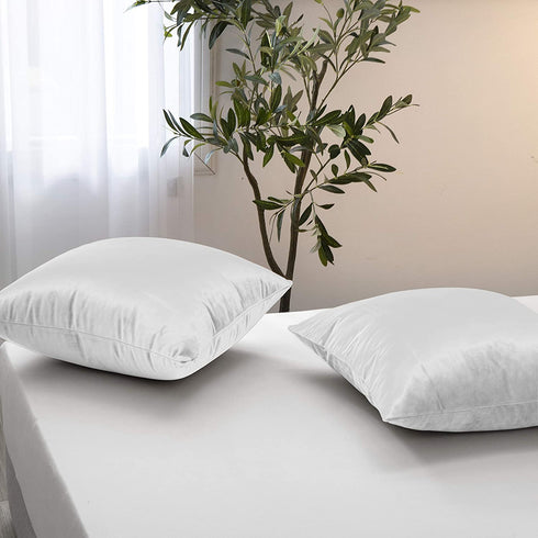 RBSC Home Pack of 2 Velvet Pillow Covers Decorative Square Pillowcase Soft Solid Cushion Case with Hidden Zipper for Sofa Bedroom 18 X 18 Inch