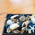 Qingbei Rina Ocean Scented Potpourris Dried Flowers in Box Home Fragrance Decoration Christmas Aroma Gift Decorative Filler for Bowl and Vase (Blue)