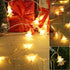 Christmas Lights,19.68 ft 40 led Battery Operated Christmas Tree Lights for Bedroom Patio Room Garden Party Home Christmas Decor Indoor Outdoor Christmas Tree Decorations Warm White