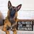 JennyGems Belgian Malinois Sign, All You Need Is Love and a Belgian Malinois, Wood Sign, 9.5x5.5 Inches, Belgian Malinois Mom, Belgian Malinois Gifts, Belgian Malinois Decor, American Made