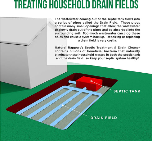 Drain and Septic Tank Cleaner Treatment - Natural Rapport - Professional Strength Holding Tank & Drain Cleaner For Home and RV (Liquid & Packets) (12 Count)