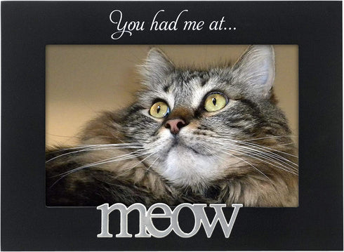 Malden International Designs 4964-46 Expressions You Had Me at Meow Black Wood Picture Frame, 4x6, Black