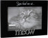 Malden International Designs 4964-46 Expressions You Had Me at Meow Black Wood Picture Frame, 4x6, Black