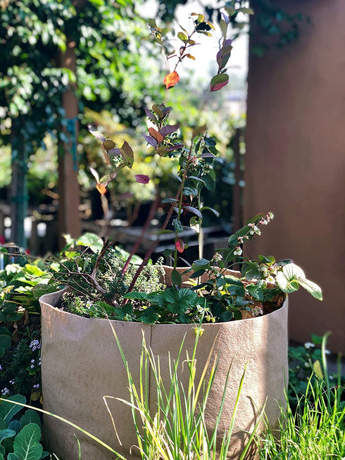 Smart Pots 15-Gallon Smart Pot Soft-Sided Container, Tan