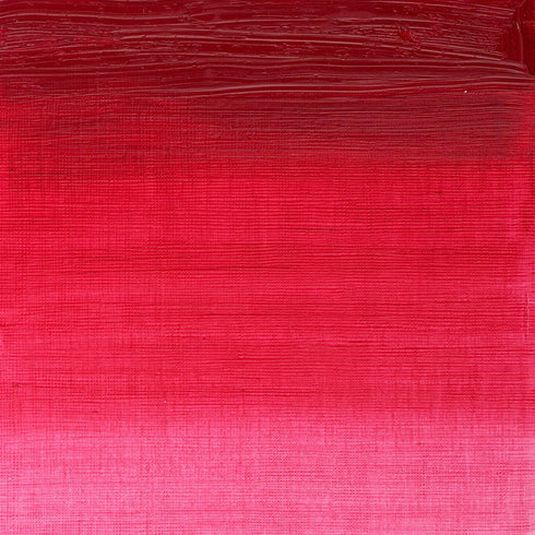 Winsor & Newton 1437502 Winton Oil Color Paint, 200-ml Tube, Permanent Rose