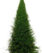 Artificial Grass Decoration Strip Indoor/Outdoor DIY Fake Grass (Width 4cm x Length 245cm, Pine Needle Grass)
