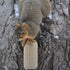 C&S CS611 Nut'n Sweet Corn Refill Squirrelog Backyard Feeder, None