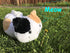 BusyPet (Extra Large Size) Kawaii Cat Cute Tissue Box Cover/Cat Tissue Dispenser/Napkin Holder/Gifts for Cat Lovers/Home Decor