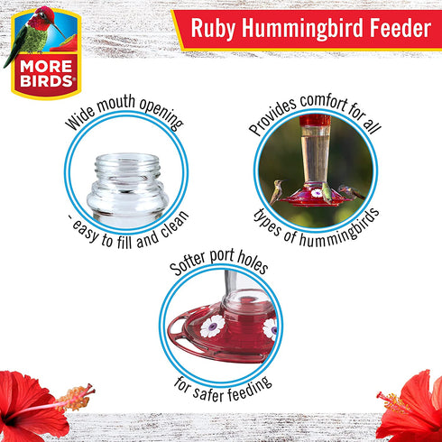 More Birds Bird Health+ Ruby Hummingbird Feeder, Glass Hummingbird Feeders for Outdoors, 4 Feeding Stations, 10 Ounces