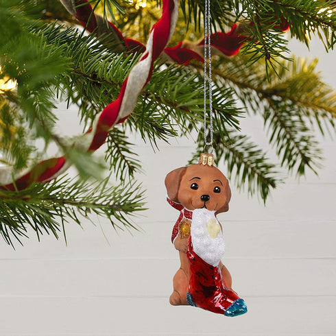 Hallmark Keepsake Christmas Ornament 2020, Adorable Dachshund, Blown Glass
