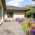 Artificial Lavender Flowers 12 Bundles Outdoor UV Resistant Fake Flowers No Fade Faux Plastic Plants Garden Porch Window Box Decorating (Fushia)