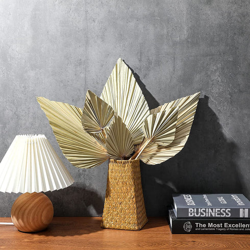 Natural Dried Palm Leaves Real Palm Spears Boho Dried Leaves Decor Tropical Palm Leaves Decoration Artificial Plants Palm Leaves Wedding Home Decor for Wedding Anniversary Home Decor (6 Pieces)