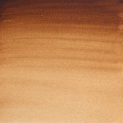 Winsor & Newton 105076 Professional Water Colour Paint, 14ml tube, Burnt Umber
