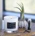Lulu Candles - Apple Cinnamon (9 Oz.) - Highly Scented Premium Candles in Giftable Box for Home and Office - Vegan Soy Blend Jar Candle with 100% Cotton Wick - Slow Burning & Long Lasting