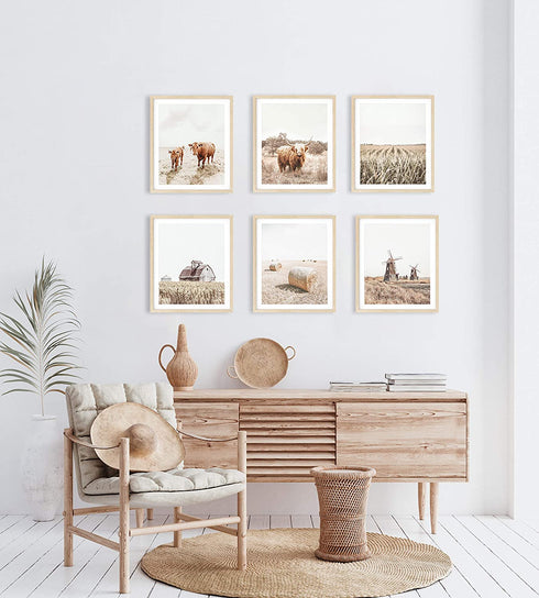 Highland Cow Art and Farmhouse Wall Decor - by Haus and Hues | Cow Wall Art and Farmhouse Pictures | Cow Decor | Cow Prints Wall Art | Cow Pictures Wall Decor, (11" x 14" UNFRAMED)