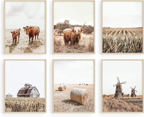 Highland Cow Art and Farmhouse Wall Decor - by Haus and Hues | Cow Wall Art and Farmhouse Pictures | Cow Decor | Cow Prints Wall Art | Cow Pictures Wall Decor, (11" x 14" UNFRAMED)