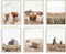 Highland Cow Art and Farmhouse Wall Decor - by Haus and Hues | Cow Wall Art and Farmhouse Pictures | Cow Decor | Cow Prints Wall Art | Cow Pictures Wall Decor, (11" x 14" UNFRAMED)