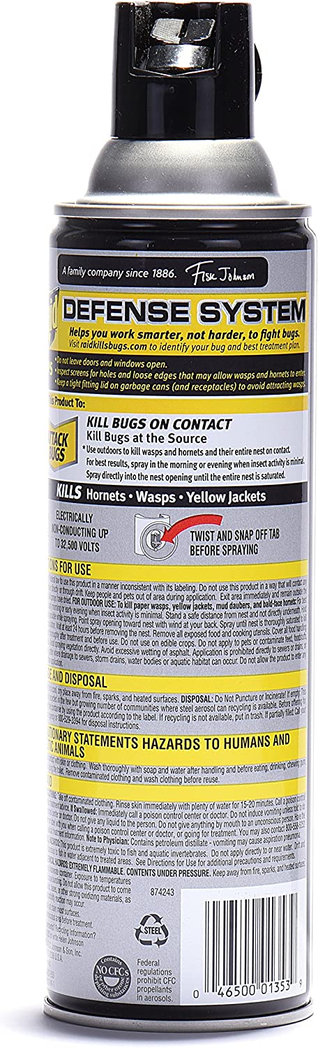 Raid Wasp Hornet Killer Spray (14 Ounce (Pack of 1)