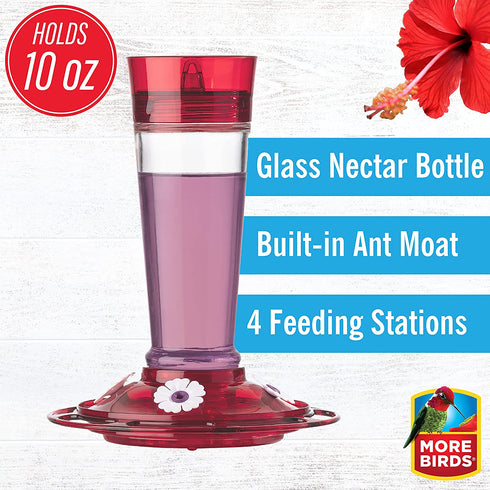 More Birds Bird Health+ Ruby Hummingbird Feeder, Glass Hummingbird Feeders for Outdoors, 4 Feeding Stations, 10 Ounces