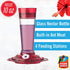 More Birds Bird Health+ Ruby Hummingbird Feeder, Glass Hummingbird Feeders for Outdoors, 4 Feeding Stations, 10 Ounces