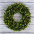 Boxwood Wreath, Artificial Wreath for the Front Door by Pure Garden, Home Décor, UV Resistant - 12 Inches