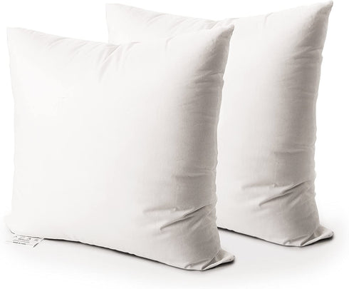Edow Throw Pillow Insert, Set of 2 Down Alternative Polyester Square Form Decorative Pillow, Cushion,Sham Stuffer. (White, 20x20)