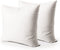 Edow Throw Pillow Insert, Set of 2 Down Alternative Polyester Square Form Decorative Pillow, Cushion,Sham Stuffer. (White, 20x20)