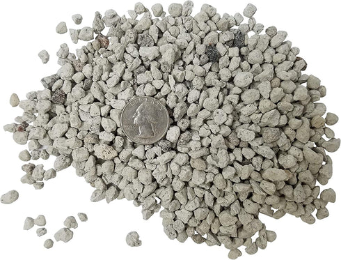 Bonsai, Cactus & Succulent Pumice - Professional Sifted and Ready to Use American ¦ (2.5 Dry Quart)