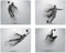 Soccer Wall Art Prints - Particle Silhouette Set of 4 (8x10) Poster Photos - Man Cave- Bedroom Decor